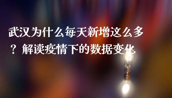 武汉为什么每天新增这么多？ 解读疫情下的数据变化_https://cj002.lansai.wang_财经问答_第1张
