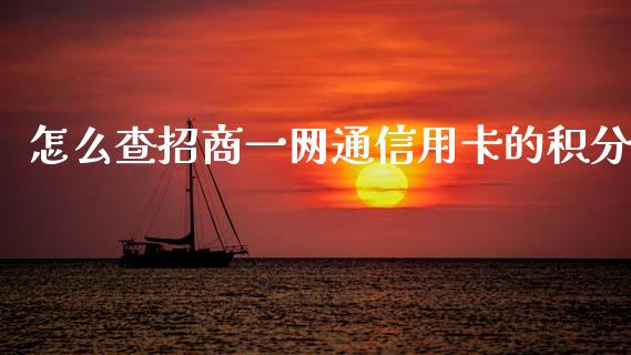 怎么查招商一网通信用卡的积分_https://cj002.lansai.wang_金融问答_第1张