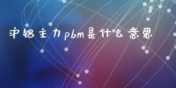 沪铝主力pbm是什么意思_保险问答_第1张_财经百问网 沪铝主力pbm是什么意思_https://cj002.lansai.wang_保险问答_第1张