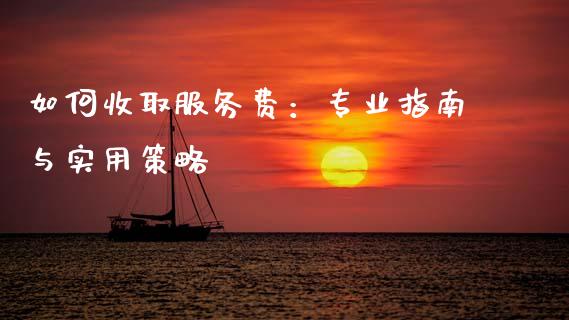 如何收取服务费：专业指南与实用策略_https://cj002.lansai.wang_理财问答_第1张