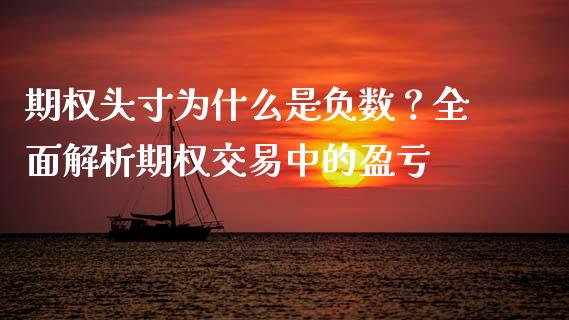 期权头寸为什么是负数？全面解析期权交易中的盈亏_https://cj002.lansai.wang_金融问答_第1张