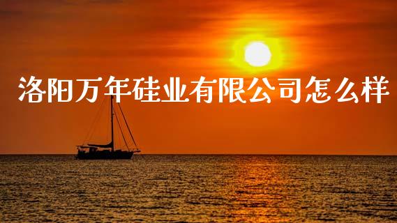 洛阳万年硅业有限公司怎么样_https://cj002.lansai.wang_财经问答_第1张