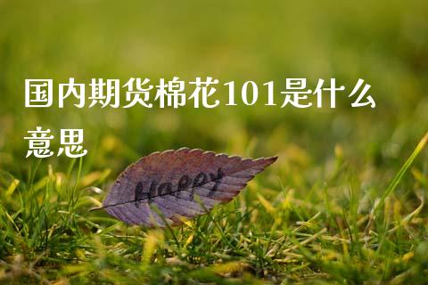 国内期货棉花101是什么意思_https://cj002.lansai.wang_财经百问_第1张