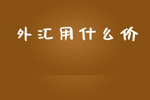 外汇用什么价_https://cj002.lansai.wang_财经问答_第1张