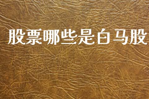 股票哪些是白马股_https://cj002.lansai.wang_股市问答_第1张