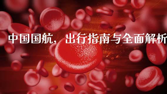 中国国航，出行指南与全面解析_https://cj002.lansai.wang_期货问答_第1张