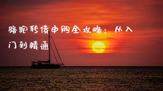 骆驼转债申购全攻略：从入门到精通_https://cj002.lansai.wang_财经百问_第1张
