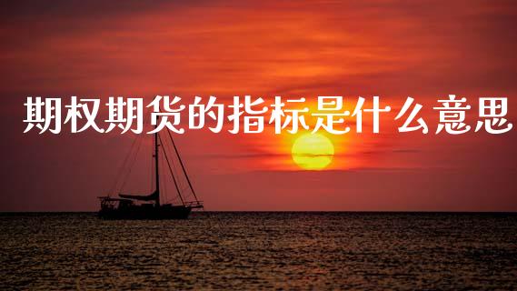 期权期货的指标是什么意思_https://cj002.lansai.wang_期货问答_第1张