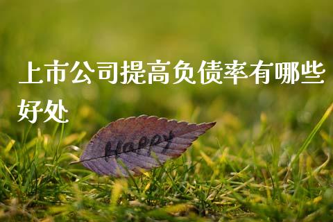 上市公司提高负债率有哪些好处_https://cj002.lansai.wang_理财问答_第1张