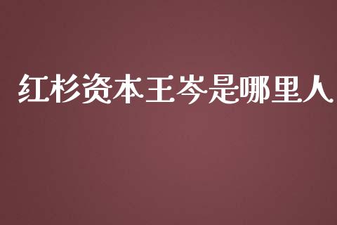 红杉资本王岑是哪里人_https://cj002.lansai.wang_期货问答_第1张