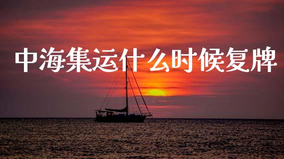 中海集运什么时候复牌_https://cj002.lansai.wang_期货问答_第1张