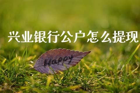 兴业银行公户怎么提现_https://cj002.lansai.wang_金融问答_第1张