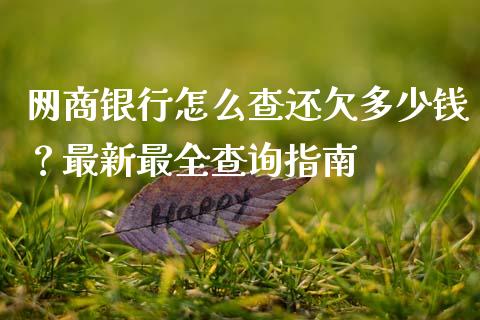 网商银行怎么查还欠多少钱？最新最全查询指南_https://cj002.lansai.wang_财经百问_第1张