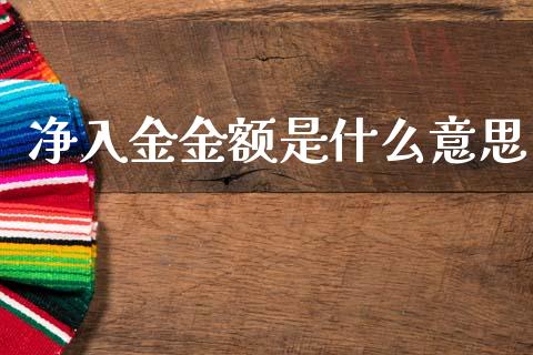 净入金金额是什么意思_财经问答_第1张_财经百问网 净入金金额是什么意思_https://cj002.lansai.wang_财经问答_第1张