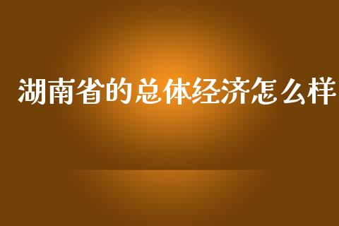 湖南省的总体经济怎么样_https://cj002.lansai.wang_理财问答_第1张