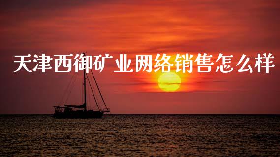 天津西御矿业网络销售怎么样_https://cj002.lansai.wang_保险问答_第1张