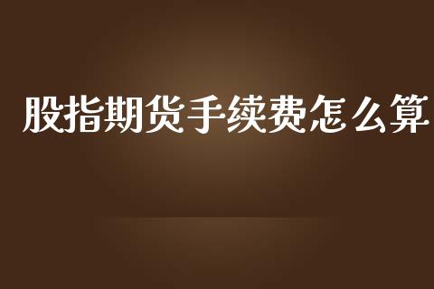 股指期货手续费怎么算_https://cj002.lansai.wang_会计问答_第1张