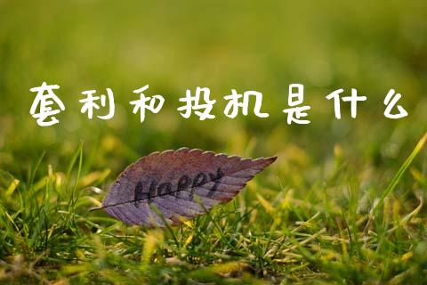 套利和投机是什么_https://cj002.lansai.wang_财经问答_第1张
