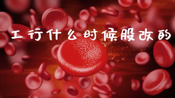 工行什么时候股改的_https://cj002.lansai.wang_期货问答_第1张
