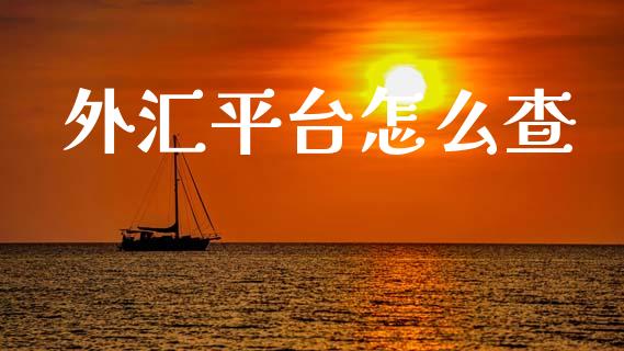 外汇平台怎么查_https://cj002.lansai.wang_财经问答_第1张