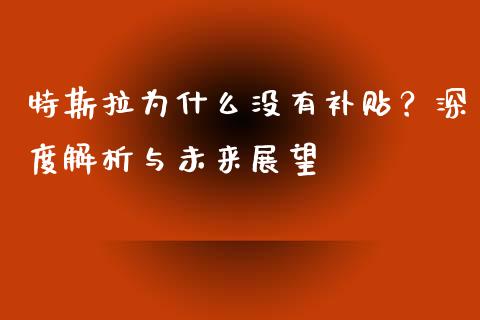 特斯拉为什么没有补贴？深度解析与未来展望_https://cj002.lansai.wang_保险问答_第1张