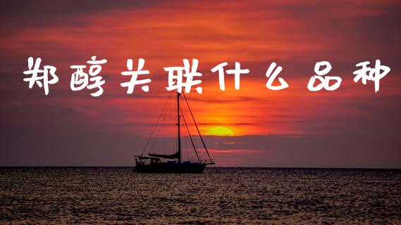 郑醇关联什么品种_https://cj002.lansai.wang_财经问答_第1张