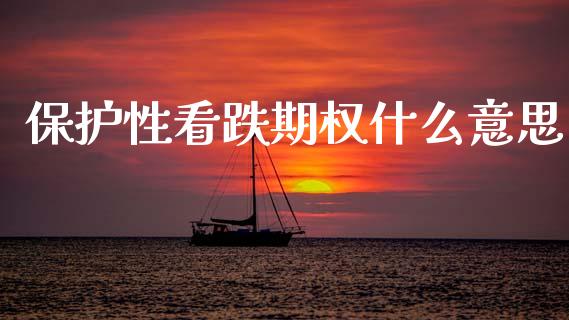 保护性看跌期权什么意思_https://cj002.lansai.wang_理财问答_第1张