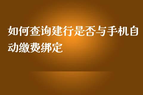如何查询建行是否与手机自动缴费绑定_财经问答_第1张_财经百问网 如何查询建行是否与手机自动缴费绑定_https://cj002.lansai.wang_财经问答_第1张