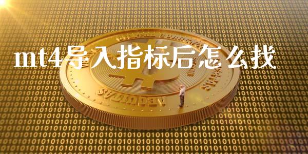 mt4导入指标后怎么找_https://cj002.lansai.wang_财经问答_第1张