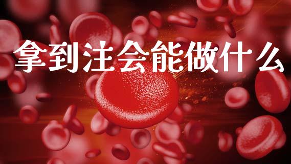 拿到注会能做什么_https://cj002.lansai.wang_会计问答_第1张
