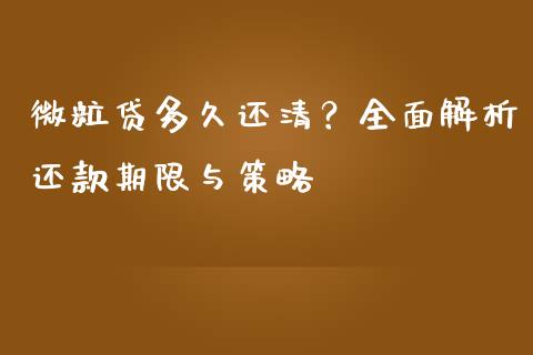微粒贷多久还清？全面解析还款期限与策略_https://cj002.lansai.wang_财经百问_第1张