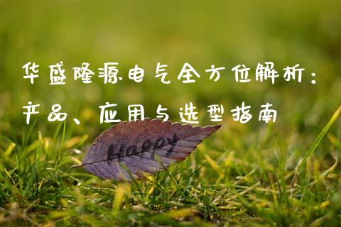 华盛隆源电气全方位解析：产品、应用与选型指南_https://cj002.lansai.wang_财经问答_第1张