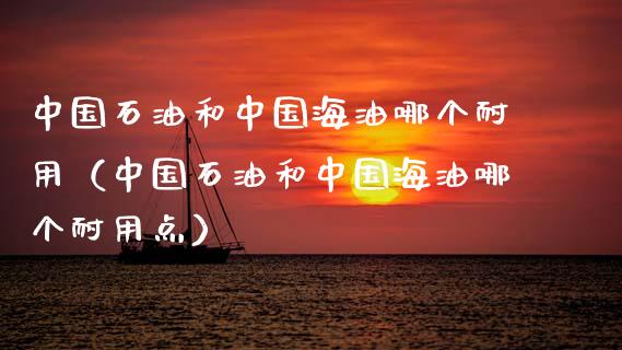 中国石油和中国海油哪个耐用（中国石油和中国海油哪个耐用点）_https://cj002.lansai.wang_金融问答_第1张
