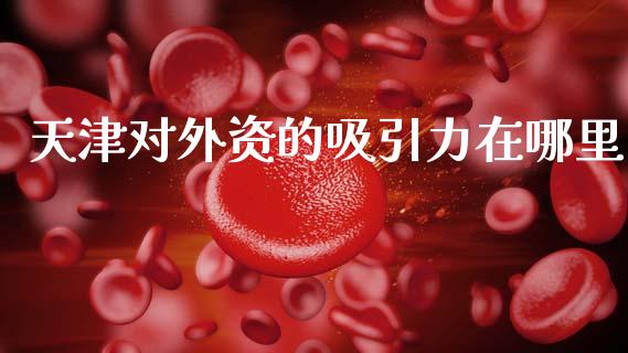 天津对外资的吸引力在哪里_https://cj002.lansai.wang_财经百问_第1张