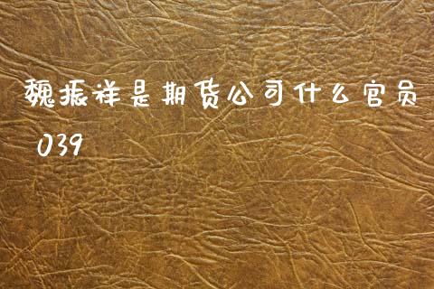 魏振祥是期货公司什么官员 039_https://cj002.lansai.wang_期货问答_第1张