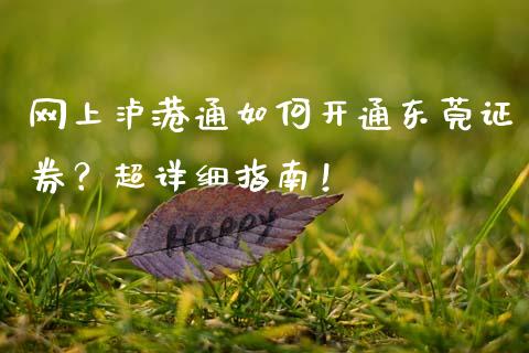 网上泸港通如何开通东莞证券？超详细指南！_https://cj002.lansai.wang_财经百问_第1张