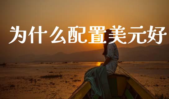 为什么配置美元好_https://cj002.lansai.wang_财经问答_第1张