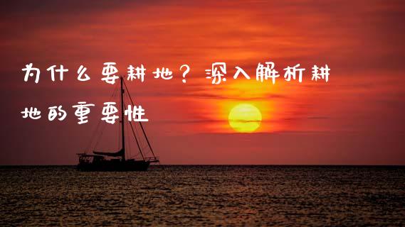 为什么要耕地？深入解析耕地的重要性_https://cj002.lansai.wang_股市问答_第1张