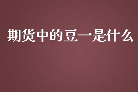 期货中的豆一是什么_https://cj002.lansai.wang_会计问答_第1张