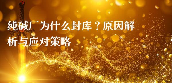 纯碱厂为什么封库？原因解析与应对策略_https://cj002.lansai.wang_会计问答_第1张