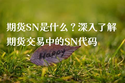 期货SN是什么？深入了解期货交易中的SN代码_https://cj002.lansai.wang_财经问答_第1张