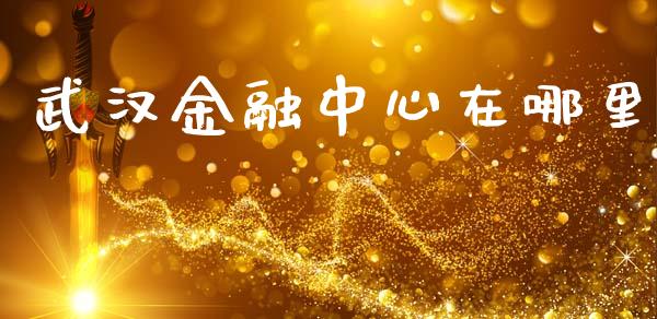 武汉金融中心在哪里_https://cj002.lansai.wang_理财问答_第1张