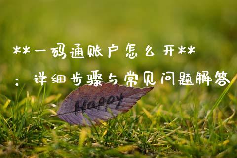 **一码通账户怎么开**：详细步骤与常见问题解答_https://cj002.lansai.wang_股市问答_第1张