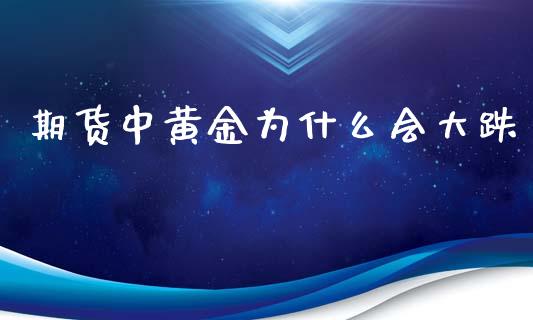 期货中黄金为什么会大跌_https://cj002.lansai.wang_期货问答_第1张
