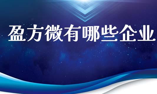 盈方微有哪些企业_https://cj002.lansai.wang_股市问答_第1张