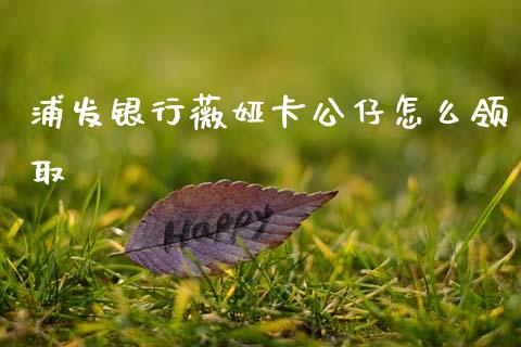 浦发银行薇娅卡公仔怎么领取_https://cj002.lansai.wang_金融问答_第1张