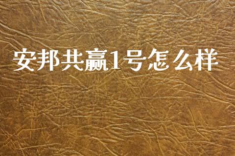 安邦共赢1号怎么样_https://cj002.lansai.wang_理财问答_第1张