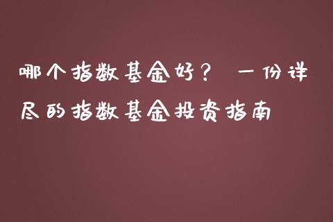 哪个指数基金好？ 一份详尽的指数基金投资指南_https://cj002.lansai.wang_财经问答_第1张