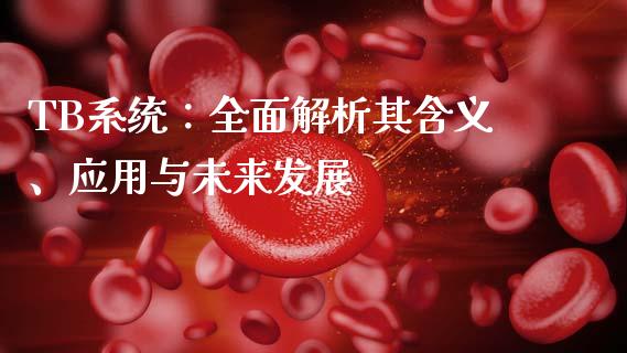 TB系统：全面解析其含义、应用与未来发展_https://cj002.lansai.wang_财经百问_第1张