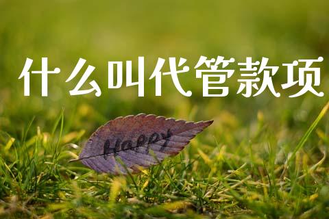 什么叫代管款项_https://cj002.lansai.wang_会计问答_第1张